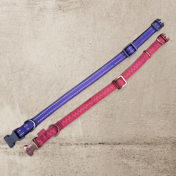 💜💟 Dog 🐕 Collars - Picture 3 of 5